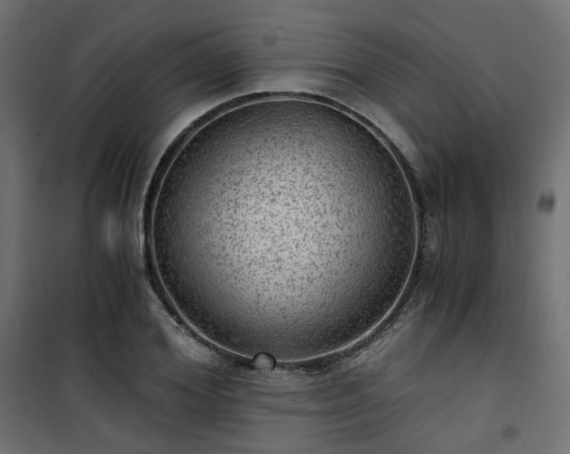 X0000101440980200807141302