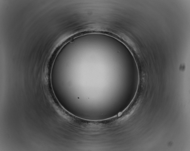 X0000101440981200807141302