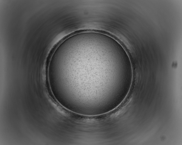 X0000101440982200807141302