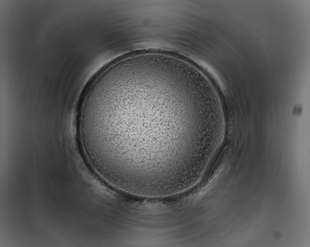 X0000101440983200807141302