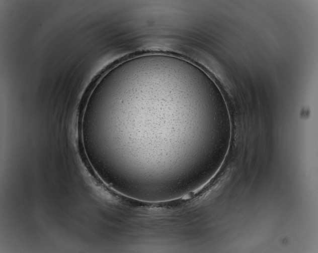 X0000101440984200807141302