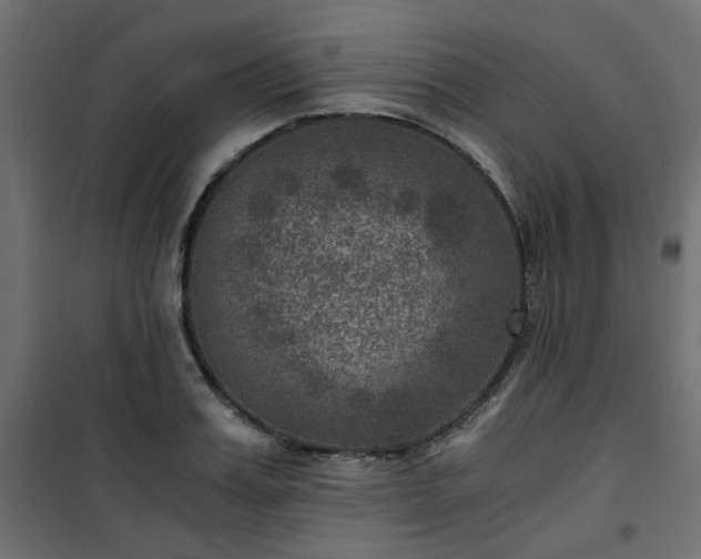 X0000101440987200807141302