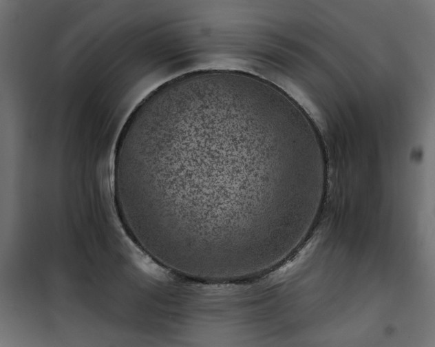 X0000101440988200807141302