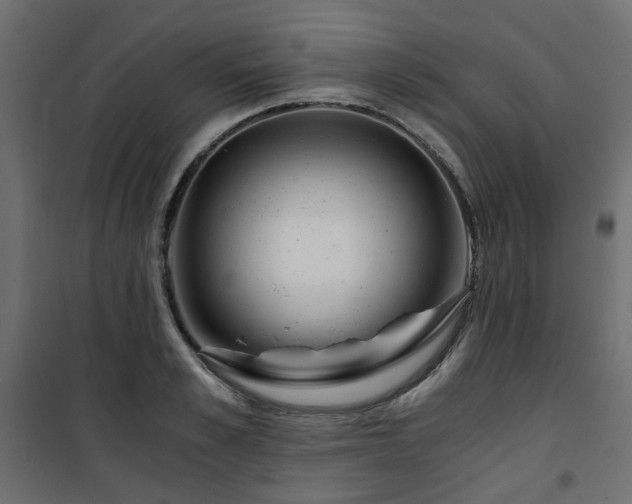 X0000101440989200807141302