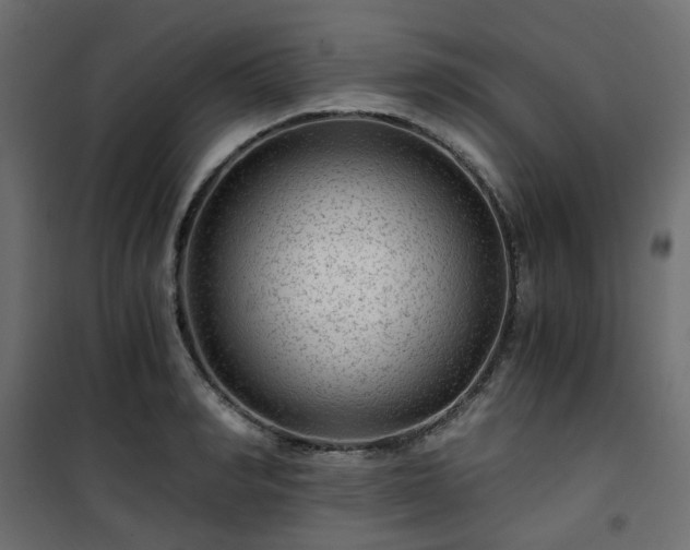 X0000101440990200807141302