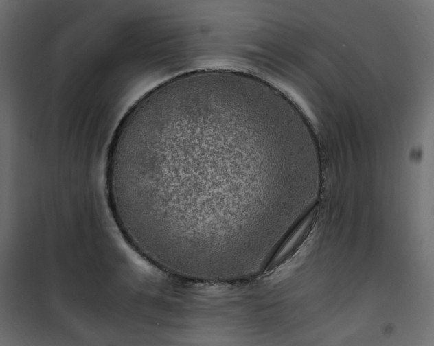 X0000101440991200807141302