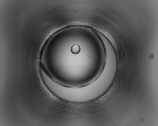 X0000101440992200807141301