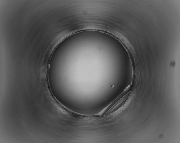 X0000101440993200807141301