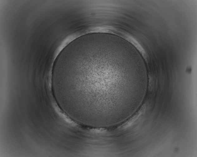 X0000101440994200807141301