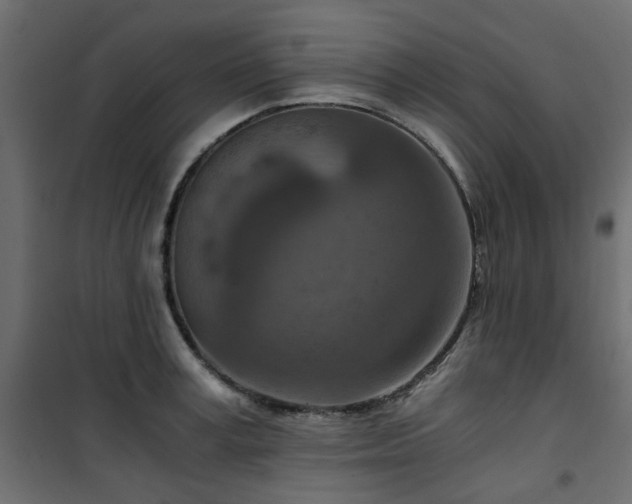 X0000101440995200807141301