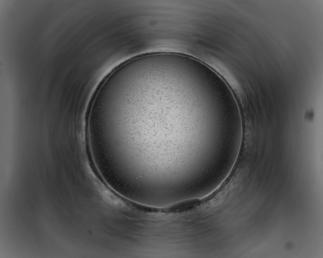 X0000101440996200807141301