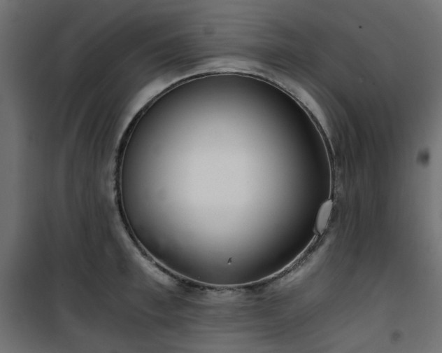 X0000101440997200807141301