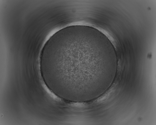 X0000101440998200807141301