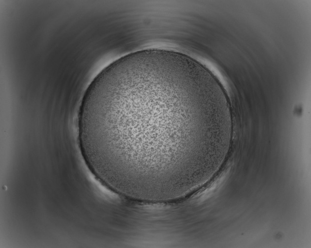 X0000101440999200807141301