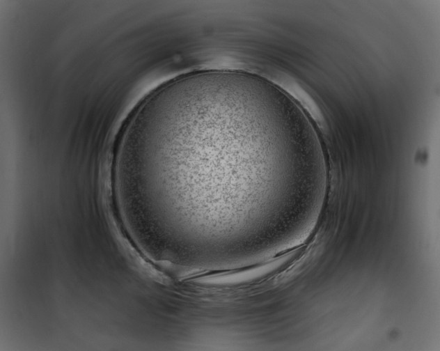 X0000101441000200807141301