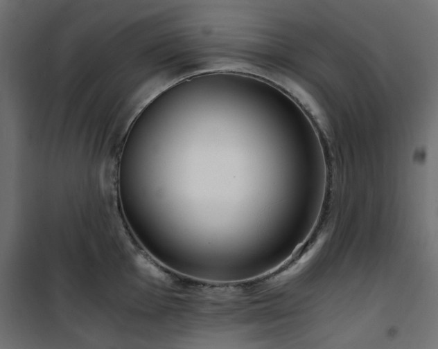 X0000101441001200807141301