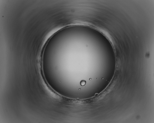 X0000101441003200807141301