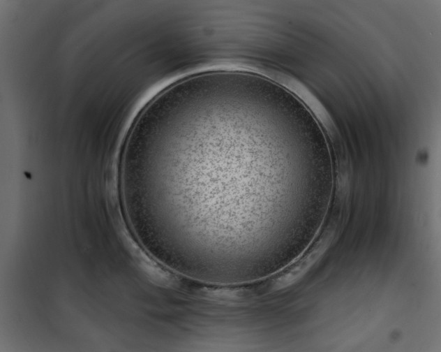 X0000101441004200807141301