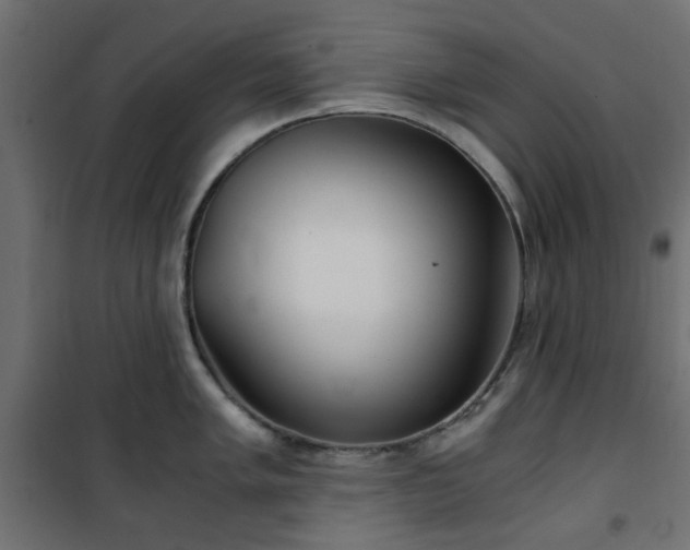 X0000101441005200807141301