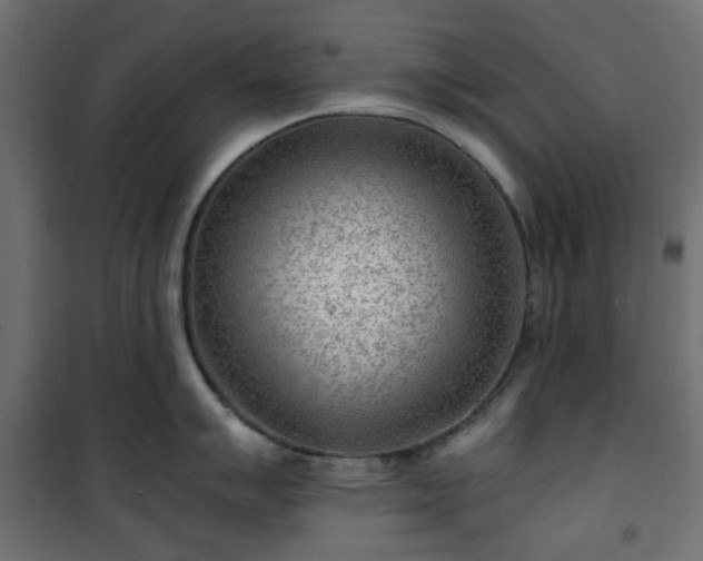 X0000101441007200807141301