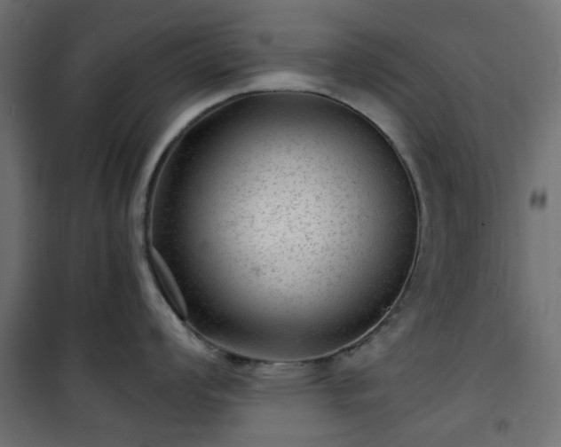 X0000101441008200807141301