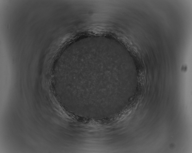 X0000101441009200807141301