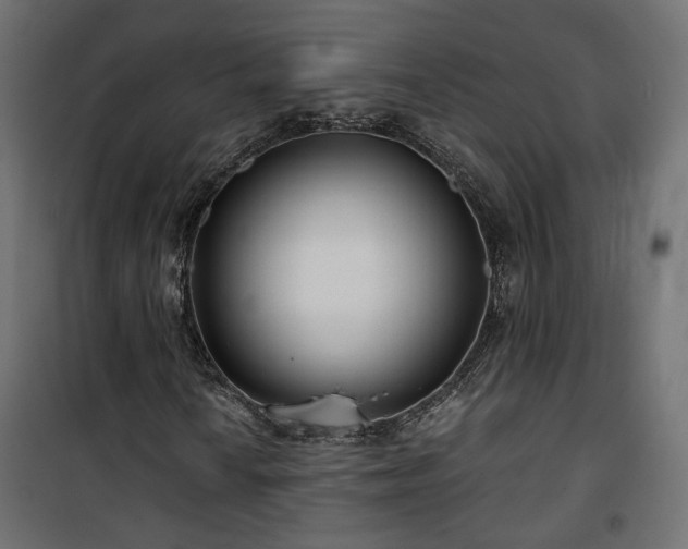 X0000101441010200807141301