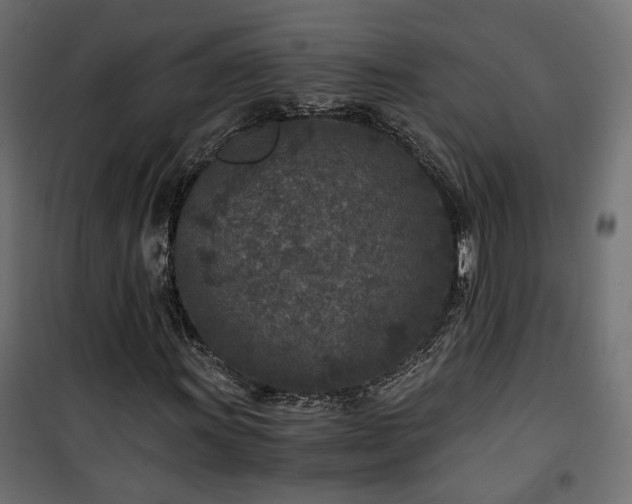 X0000101441011200807141301