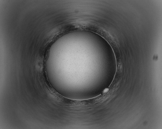 X0000101441012200807141301