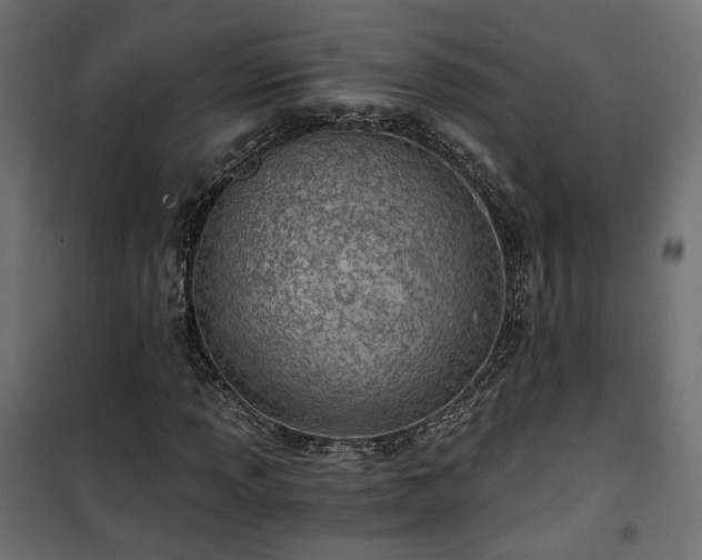 X0000101441013200807141301