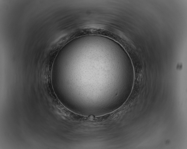 X0000101441014200807141301