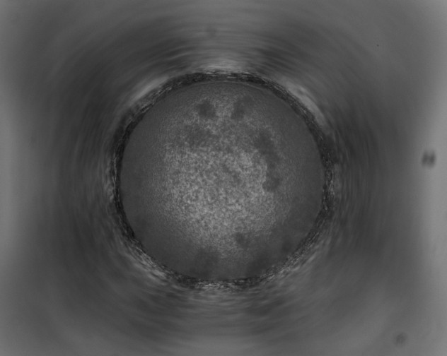 X0000101441015200807141301