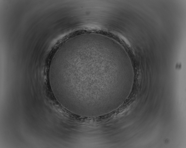 X0000101441016200807141301