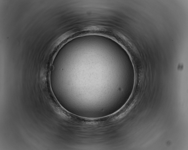 X0000101441017200807141301