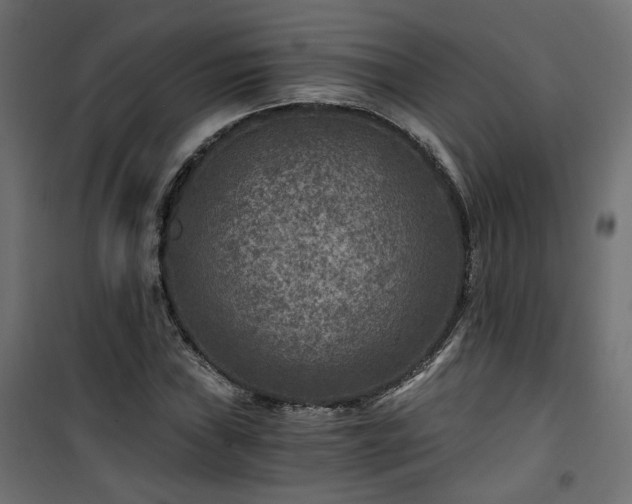 X0000101441019200807141301