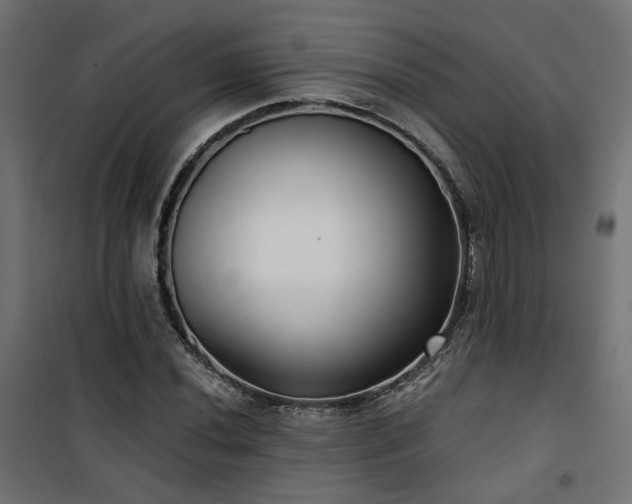 X0000101441020200807141301