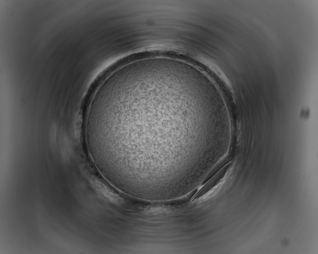 X0000101441021200807141301