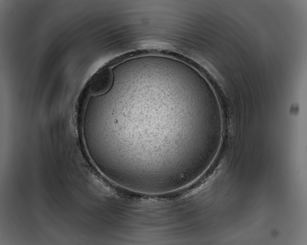 X0000101441022200807141301