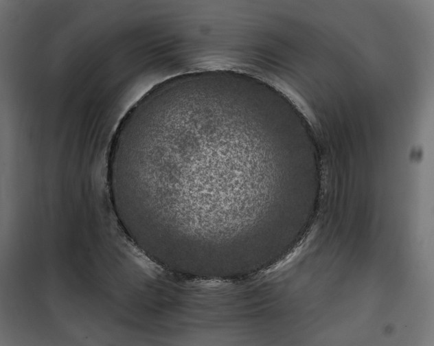 X0000101441023200807141301