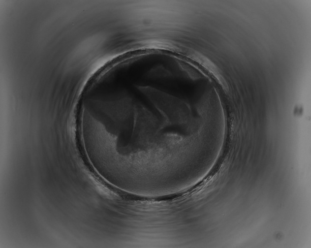 X0000101441024200807141301