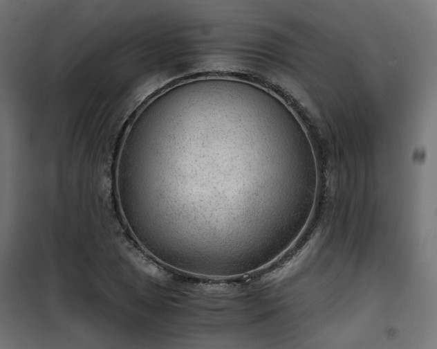 X0000101441025200807141301