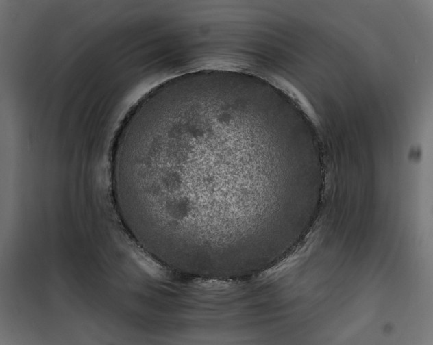 X0000101441027200807141301