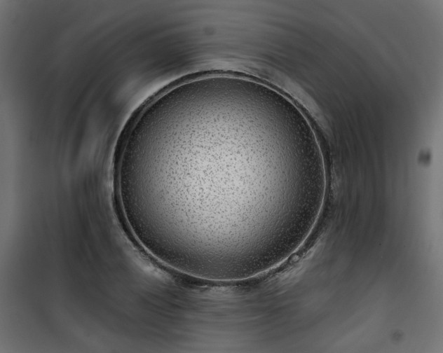 X0000101441028200807141301