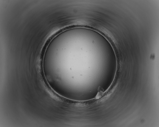 X0000101441029200807141301