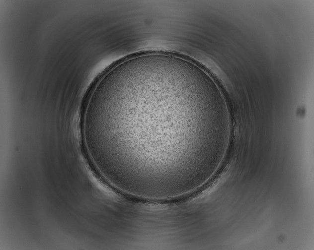 X0000101441030200807141301