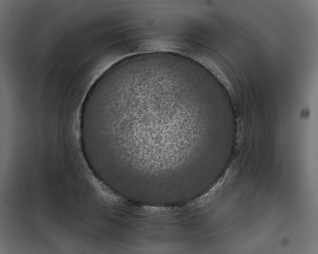 X0000101441031200807141301