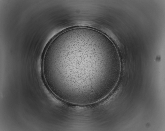 X0000101441032200807141301