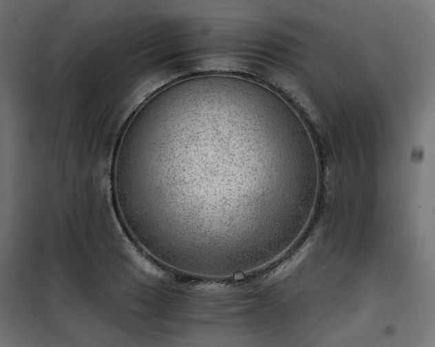 X0000101441033200807141301