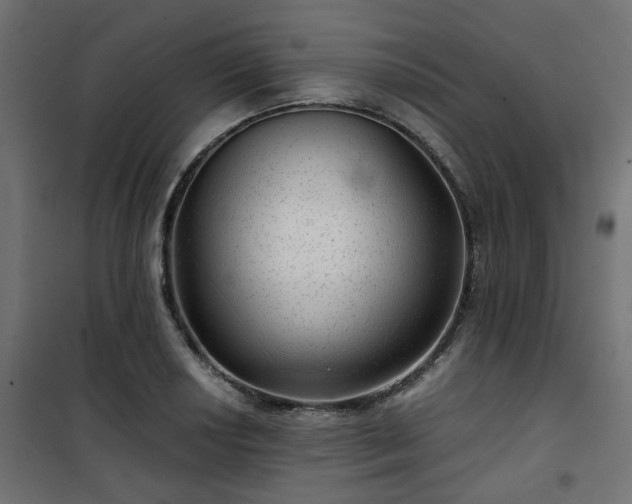 X0000101441034200807141301