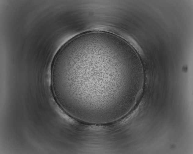 X0000101441036200807141301